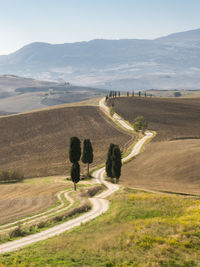 The tuscan dream