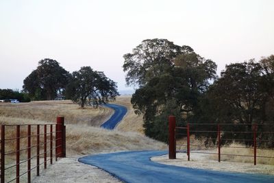 Footpath by trees against clear sky