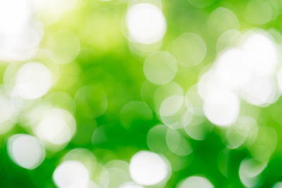 Green bokeh on nature defocus art abstract blur background