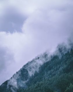 Low angle view of fog against sky