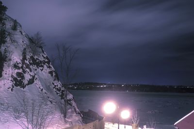 Illuminated tree by sea against sky at night