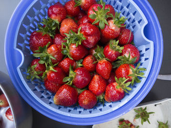 High angle view of strawberries in bowl