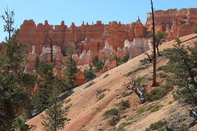 High section view of rock formation