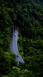 Aerial view of road amidst trees in forest