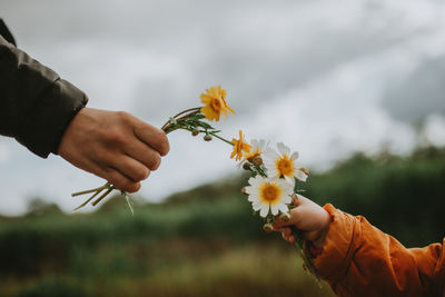 Cropped hands of people holding flowers against sky