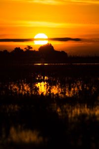 Scenic view of silhouette trees against orange sky