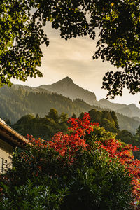 Low angle view of townscape against sky