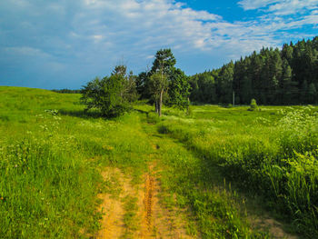 Scenic view of field against sky