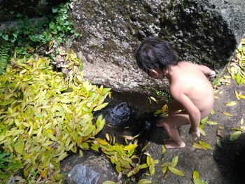 Low section of man with plants in water