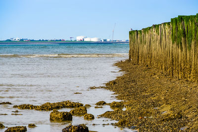 Scenic view of sea against clear sky