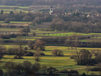 Scenic view of field against trees