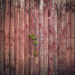 Full frame shot of wooden fence