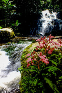 Close-up of water flowing over rocks by river