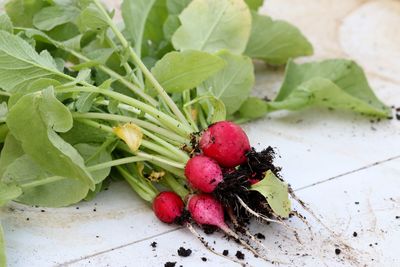 High angle view of strawberries on table