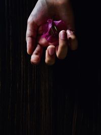 Close-up of hand holding pink flower