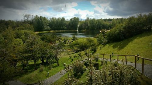 Scenic view of trees and plants against sky