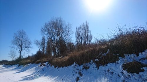 Trees on snow covered field against sky