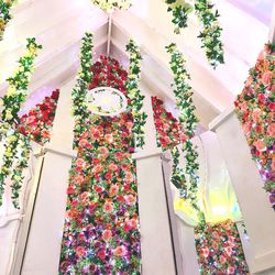 Low angle view of potted plants hanging on wall