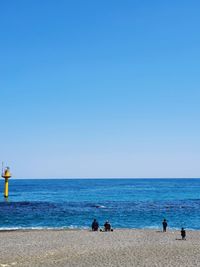 People on beach against clear blue sky