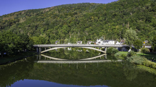 Bridge over river amidst trees