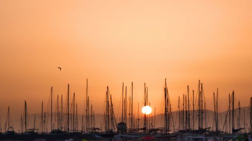 Sailboats in sea against orange sky