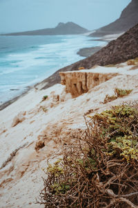 Close-up of beach against sky