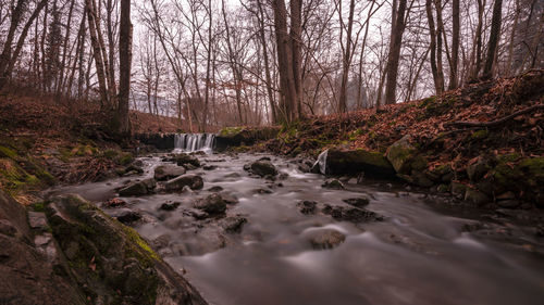 Stream flowing through rocks in forest