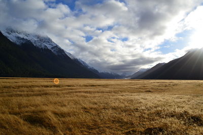 Scenic view of field against sky