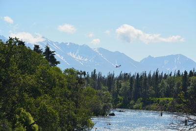 Scenic view of river amidst trees against sky