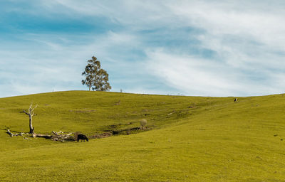 Scenic view of land against sky