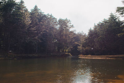 Scenic view of river and trees against sky