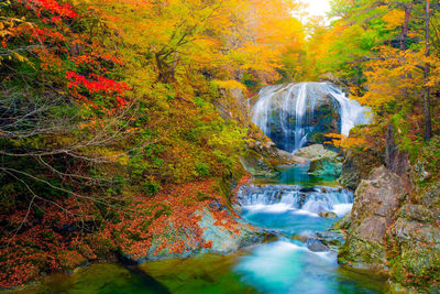 Scenic view of waterfall in forest during autumn