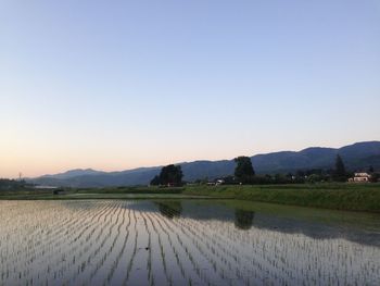 Scenic view of field against clear sky