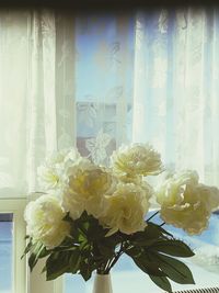 Close-up of flower bouquet against white wall