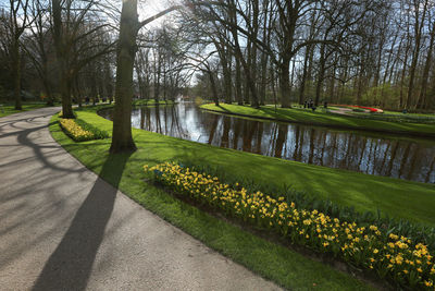 Scenic view of grass and trees