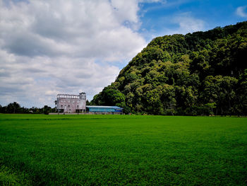 Scenic view of field against sky