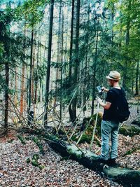 Man standing on tree trunk in forest