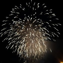 Low angle view of firework display