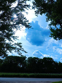 Trees on landscape against cloudy sky