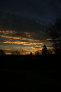 Silhouette trees against sky during sunset