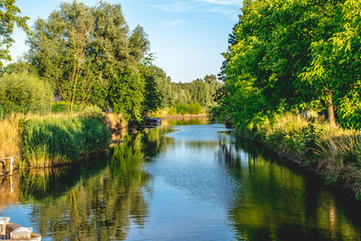 Scenic view of lake by trees against sky