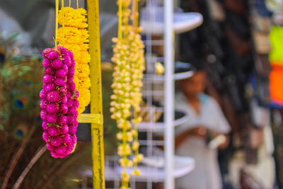 Close-up of yellow flowers hanging outdoors