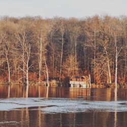 Bare trees by river against sky