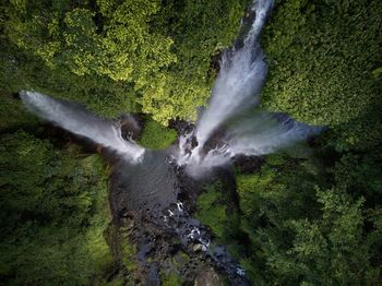 View of waterfall in forest