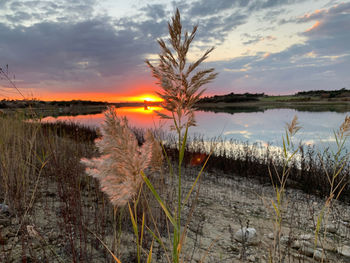 Scenic view of lake against sky during sunset