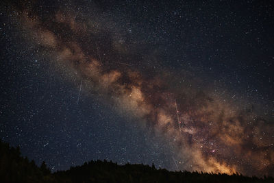 Low angle view of star field against sky at night