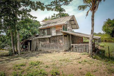 House on field