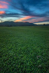 Scenic view of field against sky during sunset