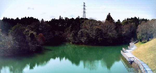 Reflection of trees in water
