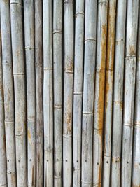 Full frame shot of bamboos